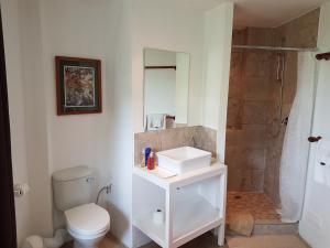 豪特湾维克多斯库鲁夫旅馆的浴室配有卫生间、盥洗盆和淋浴。