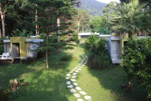 象岛雷兹共和酒店的花园,通往房子的路径