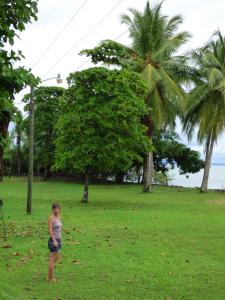 希门尼斯港Corcovado Beach Lodge的一只小女孩站在田野上,放风筝