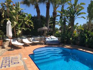 马贝拉Villa Breeze Boutique Guest Rooms, Marbella的一个带椅子和遮阳伞的游泳池,并种植了棕榈树