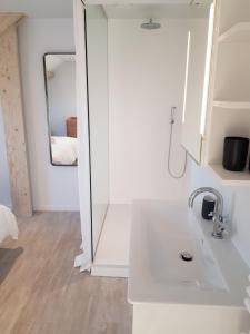 科特赖克Homey - Kortrijk的白色的浴室设有水槽和镜子