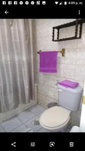 奥索尔诺DEPARTAMENTOS CLIMENT的一间带卫生间和紫色毛巾的浴室