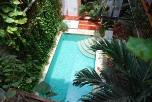 卡塔赫纳多雷迪亚酒店的享有种植了植物的游泳池的顶部景致