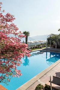 Villa Orselina - Small Luxury Hotel内部或周边的泳池