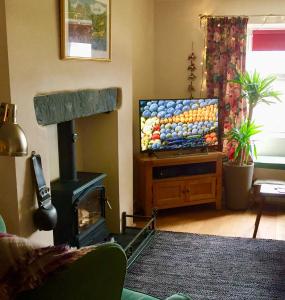 科尼斯顿Coniston Cottage Lake View的客厅设有壁炉和电视。