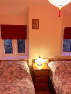 科尼斯顿Coniston Cottage Lake View的一间卧室配有两张床和一张带台灯的桌子