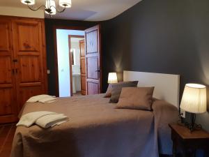 塞特卡萨斯Apartaments Can Bundanci的一间卧室配有一张大床和两个枕头
