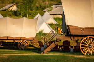 加登城康斯托加休闲度假村的一群帐篷在田野里,有一辆大篷车