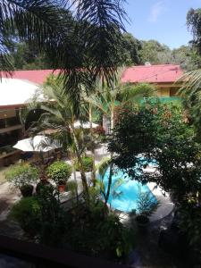 曼努埃尔安东尼奥Coyaba Tropical Elegant Adult Guesthouse的享有带游泳池和树木的度假村的顶部景致