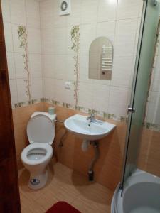 斯拉夫西克Едельвейс的一间带卫生间和水槽的浴室