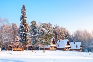 科斯特罗马贝仁德夫卡公园酒店的雪中树下的小木屋