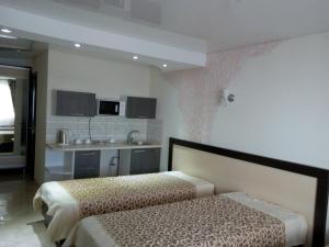 KomratRacu的酒店客房带两张床和厨房