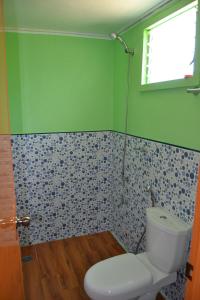 圣维森特Jake and Zyra Place的一间带卫生间和绿色墙壁的浴室