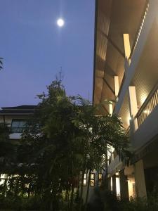 清莱维拉茶清莱酒店的月亮建筑物前的树