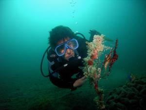 曼巴豪甘米银沙滩生态火山度假&潜水胜地的穿着潜水服,目光镜看着植物的人