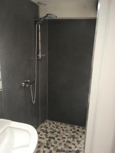 卢昂appartement terrasseLouhans centre的带淋浴、卫生间和盥洗盆的浴室
