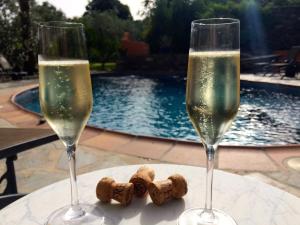 奥尔希瓦Paraíso Rural的游泳池畔桌子上放两杯香槟