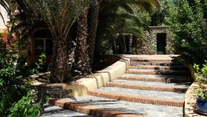 奥尔希瓦Paraíso Rural的棕榈树花园中的一套楼梯