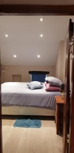 MeersigFlamingo Cottage no 12的一间卧室配有一张带蓝色床头板和枕头的床。