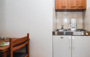 洛克瓦罗戈兹尼察Sunrise Studio Apartments 3的一个带水槽和柜台的小厨房