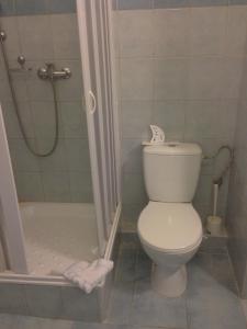 布拉迪斯拉发普利姆酒店的一间带卫生间和淋浴的浴室