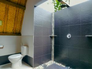 吉利阿尔切尔奥特简易别墅酒店的一间带卫生间和淋浴的浴室