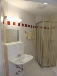 圣吉尔根圣吉尔根杰根斯特豪斯旅舍的一间带水槽和淋浴的浴室
