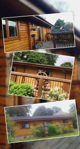 威廉堡Glenmhor Log Cabin的房屋三张照片的拼贴