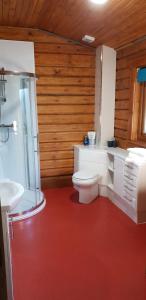 威廉堡Glenmhor Log Cabin的一间带卫生间和水槽的浴室