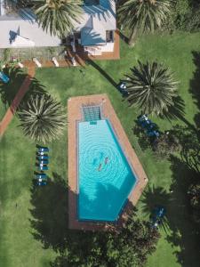 开普敦Mount Nelson, A Belmond Hotel, Cape Town的棕榈树庭院内游泳池的顶部景色