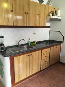 巴耶格兰雷伊高尤戈梅拉公寓的一个带水槽和木橱柜的厨房