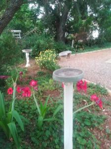 克拉多克Mulberry Place的花朵繁盛的花园中的鸟儿浴