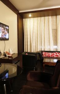 布巴内什瓦尔HOTEL EXCELLENCY的一间配备有沙发及电视的酒店客房