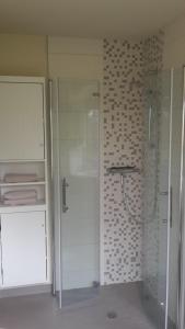 梅森Ferienwohnung "Alte Bauernstube"的带淋浴的浴室和玻璃门
