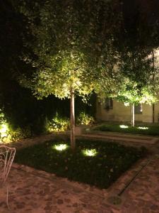 拉文纳Le Case Di San Vitale Easy的夜晚在院子里有灯光的树