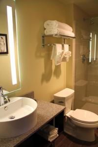 比林斯北方酒店的一间带水槽、卫生间和淋浴的浴室