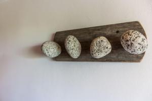 厄尔查尔坦Inlandsis Aparts的墙上木头上的四个 ⁇ 蛋