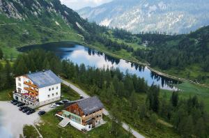 TauplitzalmHotel Alpenrose的享有湖畔建筑的空中景致