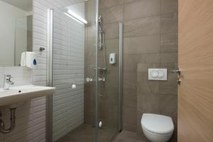 Haukadalur古斯佛酒店的带淋浴、卫生间和盥洗盆的浴室