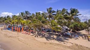 喀巴里特Kitewind Apartamentos Cabarete的一片棕榈树海滩,沙滩上的人