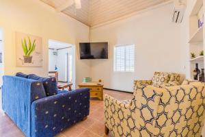 SavanetaOld Aloe House的客厅配有2把蓝色椅子和电视