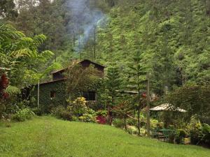 Arroyo FríoArroyo Frío River Lodge的郁郁葱葱的绿色森林中的房子