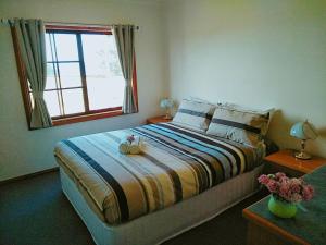 NaracoopaBaudins Accommodation的一间卧室设有一张大床和一个窗户。