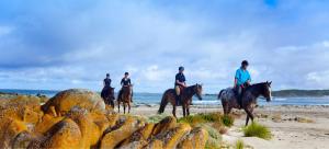 NaracoopaBaudins Accommodation的一群人在海滩上骑马