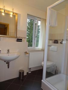 奥泊维森塔尔Appartements im Hollandhaus的一间带水槽、卫生间和镜子的浴室