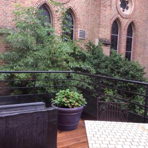 亚眠Les terrasses de l’orchestre的阳台,种植了两株盆栽植物,建筑