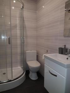 姆瓦瓦Arkadia Hostel的浴室配有卫生间、淋浴和盥洗盆。