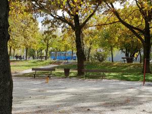 萨格勒布Lion Apartment Zagreb的两把长椅,在种满树木的公园里,在游乐场里