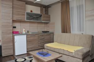 科帕奥尼克Apartments Zivkovic, Milmari D的带沙发的客厅和厨房