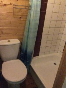 ZeyenB&B Zeijen的浴室配有卫生间、淋浴和浴缸。